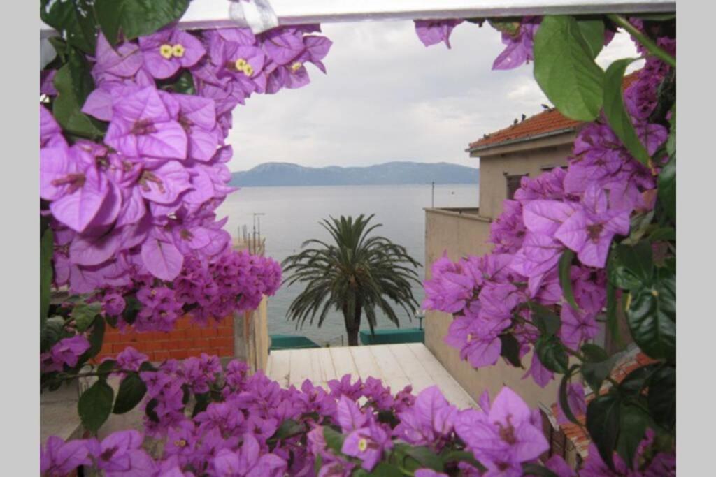 Apartman Graciela Perfect Location Gradac غراداك المظهر الخارجي الصورة