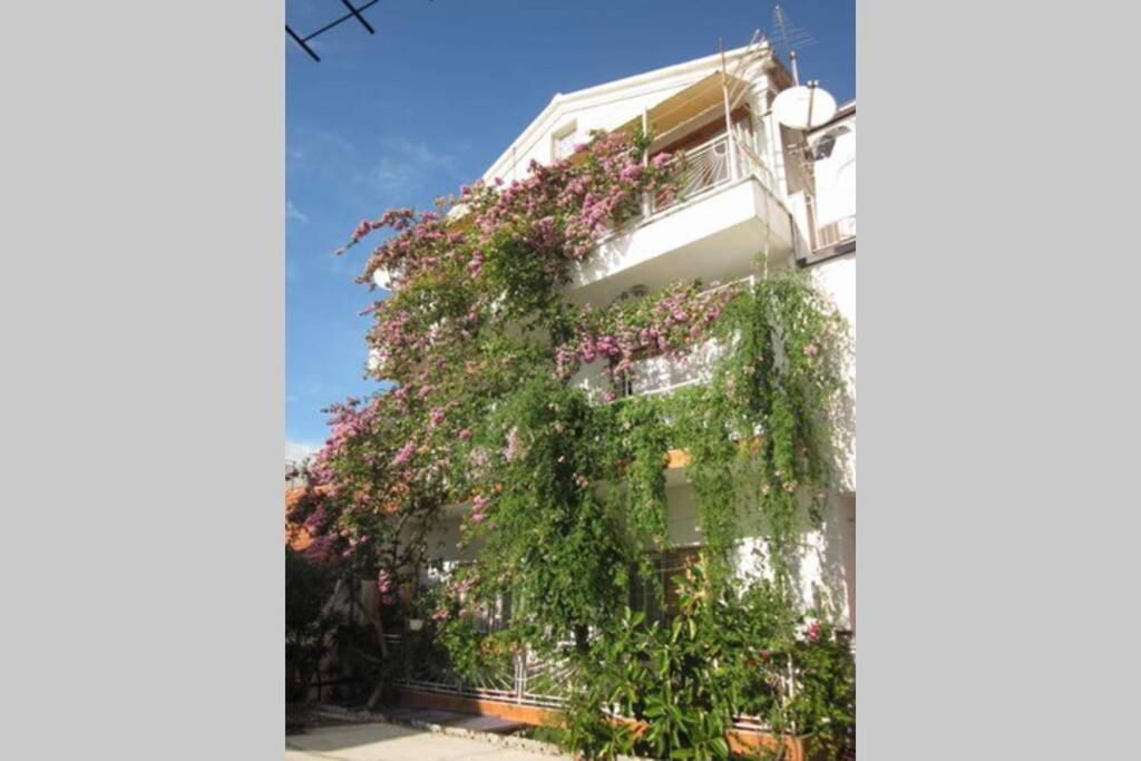 Apartman Graciela Perfect Location Gradac غراداك المظهر الخارجي الصورة