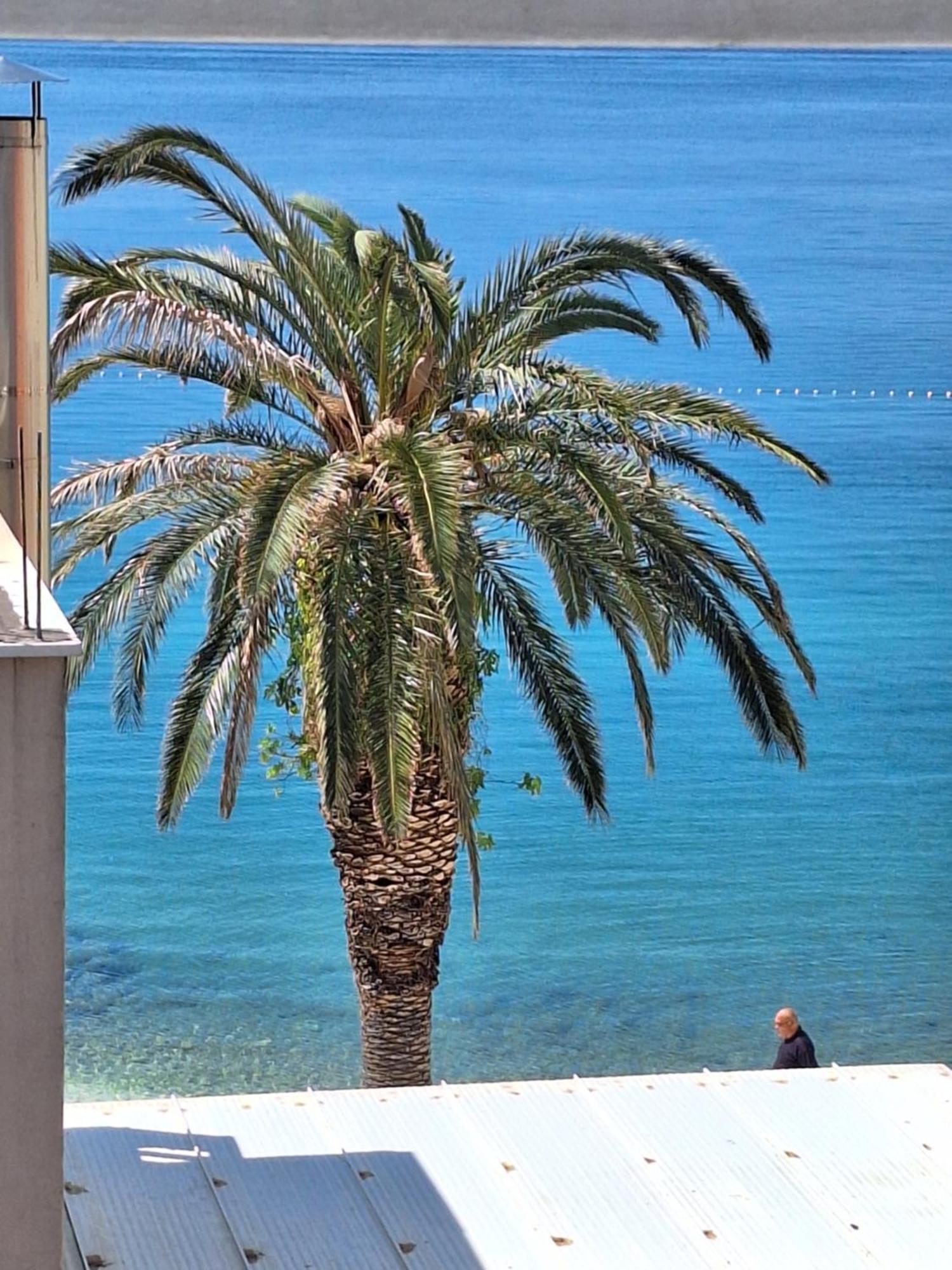 Apartman Graciela Perfect Location Gradac غراداك المظهر الخارجي الصورة